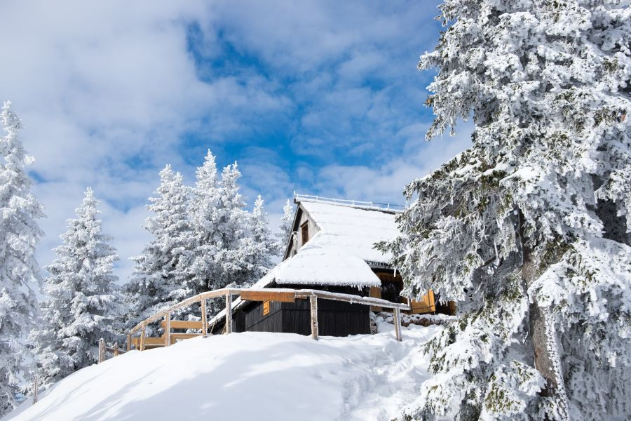 The Bistra Hut in Velika Planina