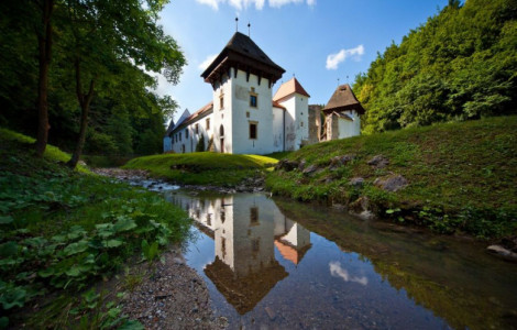 Žiče Charterhouse (Žiče Charterhouse)