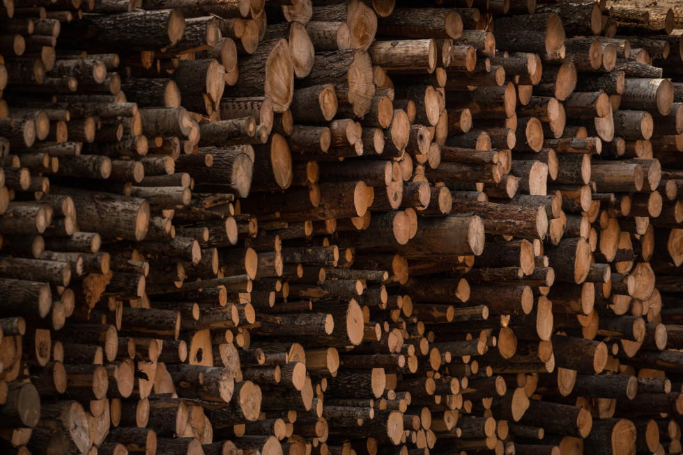 The most important renewable energy source in Slovenia is wood