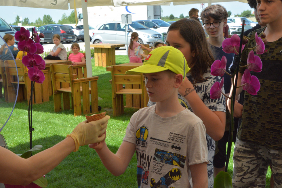 Tasting of the first ever ice cream made of Slovenian vanilla