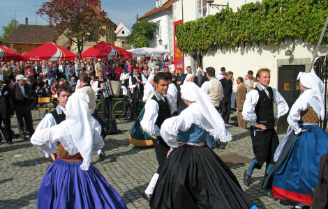 F000961 festival stare trte18 slovenia slovenija maribor pohorje marko petrej orig jpg photo m 2 (Welcome Home event is dedicated to all Slovenians who live abroad – both members of the national minorities in neighbouring countries, and those who live further afield)