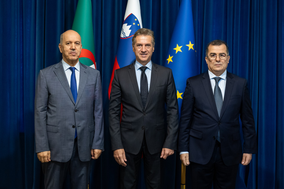 Predsednik vlade stoji pred zastavami z alžirskima ministroma
