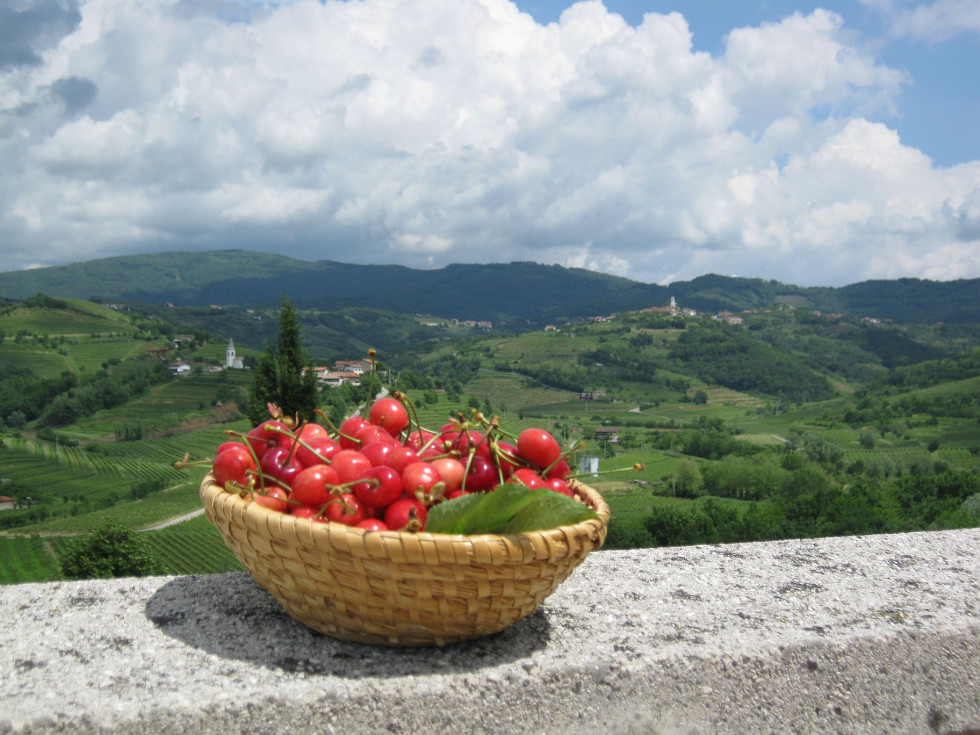 Cherries