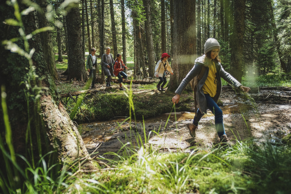 Forest care: today for tomorrow, for nature and people’