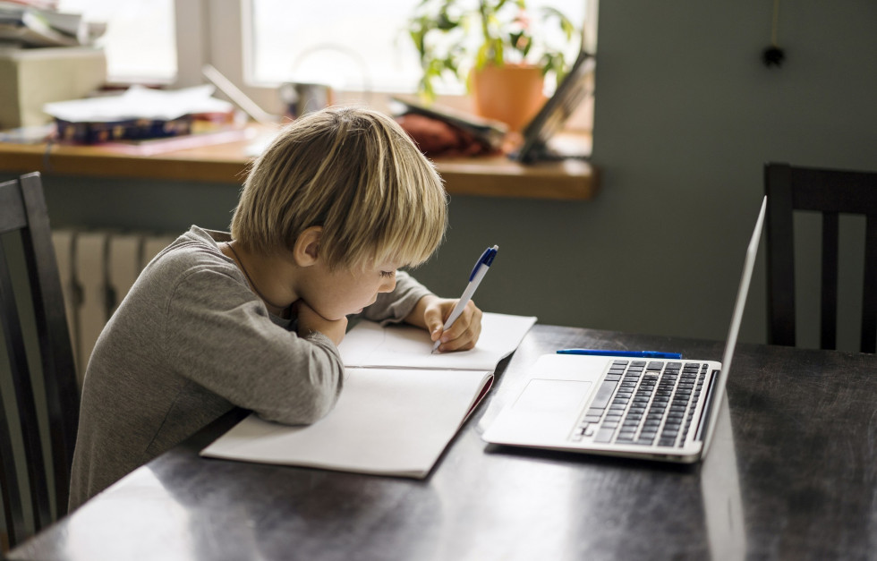 Distance learning takes place via e-mails, websites, social media and online classrooms set up by schools on the Slovenian Education Network