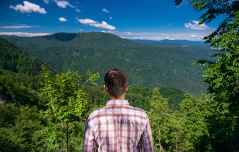 gozdovi (Forests cover nearly 60% of Slovenia )
