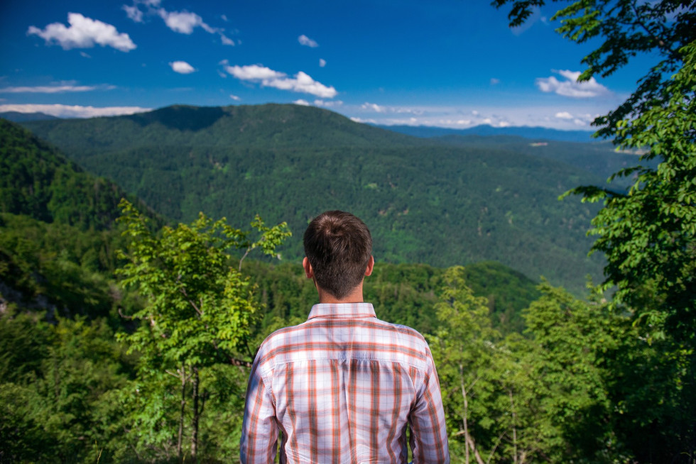 Forests cover nearly 60% of Slovenia 