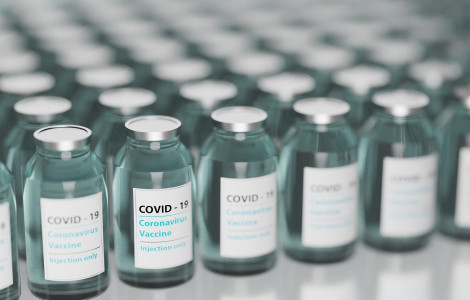 strategija cepljenja (Government plans to set up 61 vaccination centres)