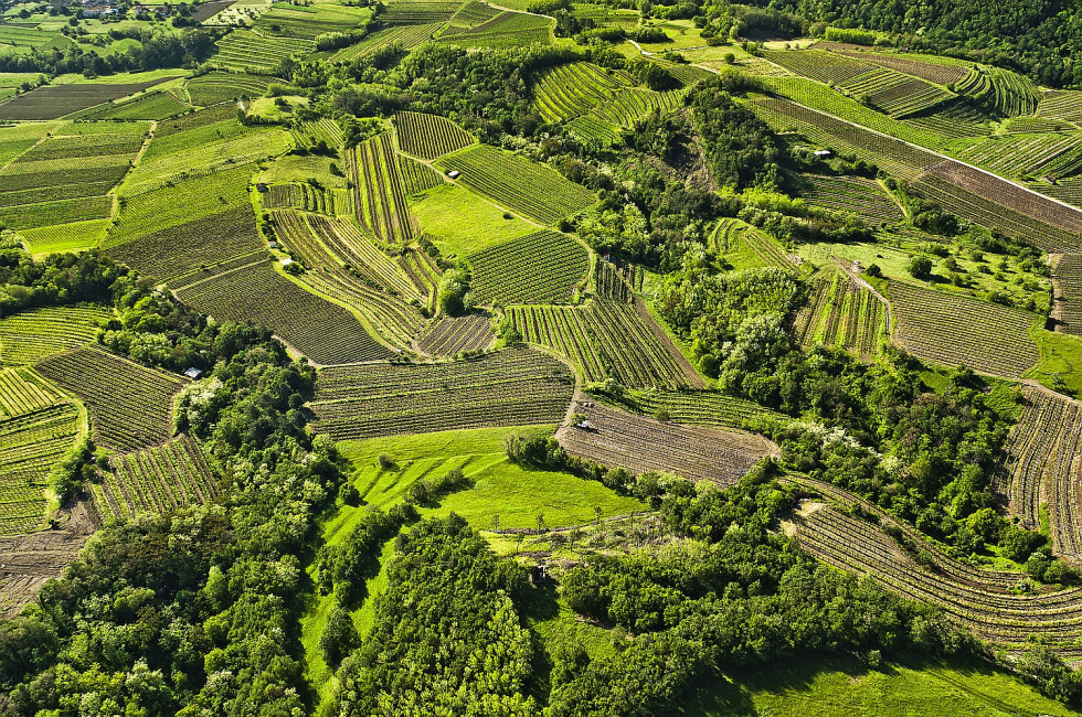 Vipava Valley