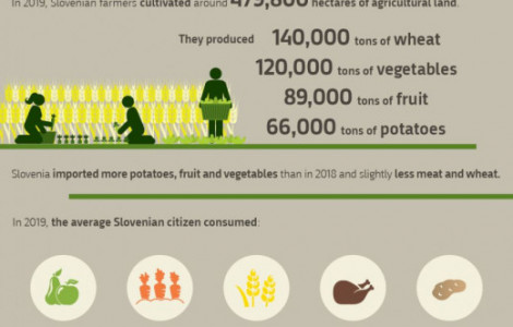 svetovni dan hrane ang 900 ScaleHeightWzUyMF0 (Production and consumption of agricultural products in 2019)