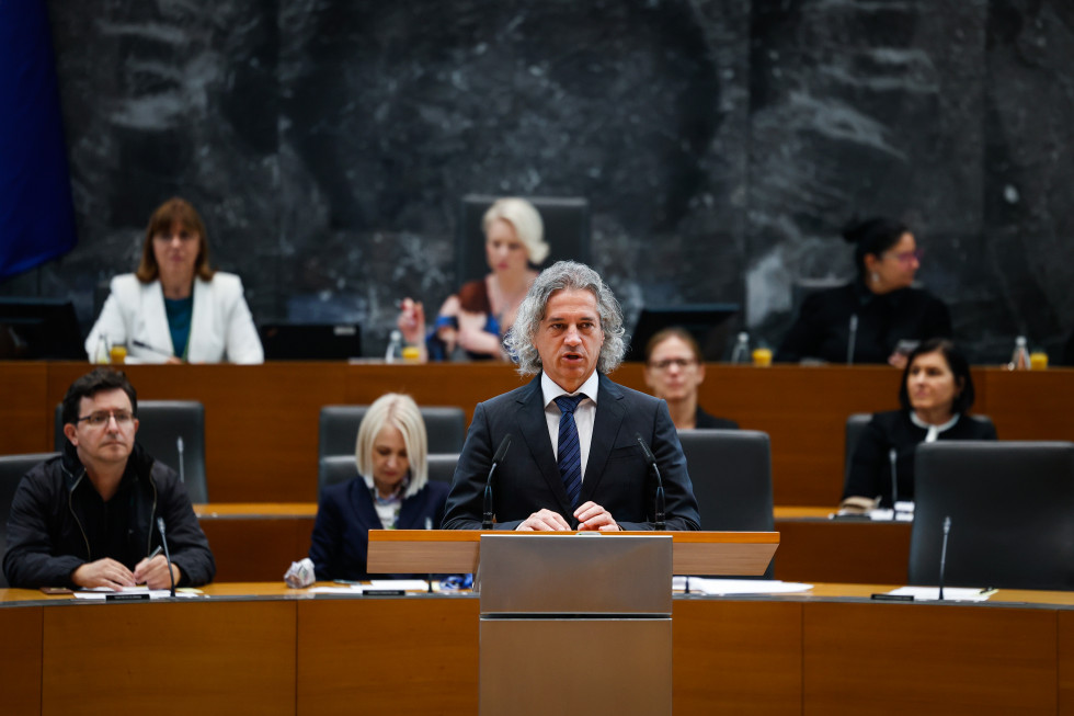 Prime Minister in the National Assembly