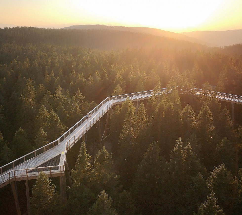 The Tree Top Trail is located in the heart of the majestic forests of the Pohorje mountains at the top of mountain Rogla.