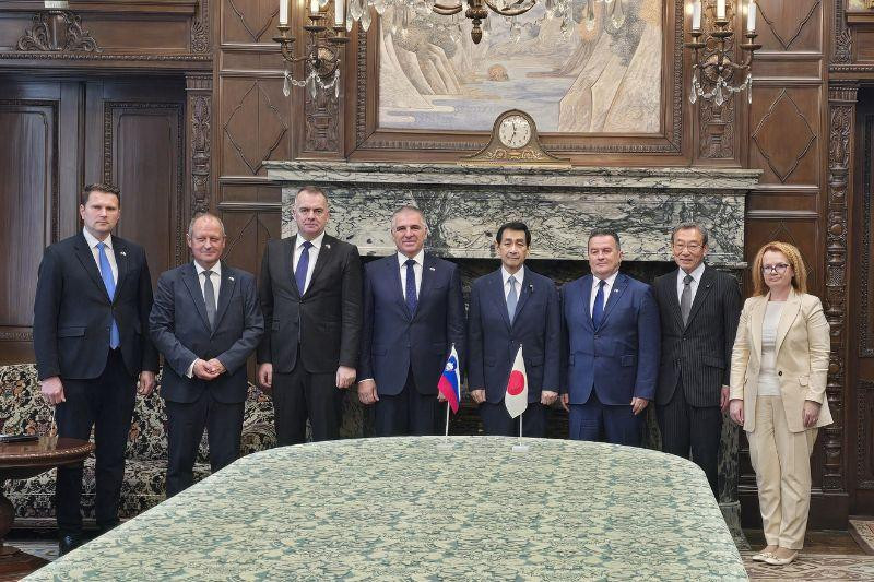 sestanek v Zgornjem domu parlamenta Japonske