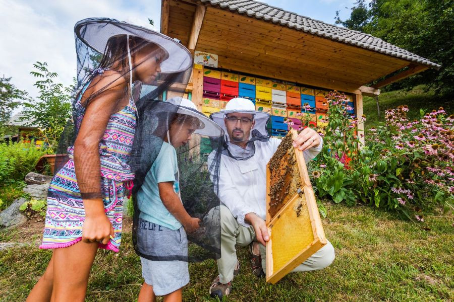 A child and a beekeeper with a honeycomb in his hand.