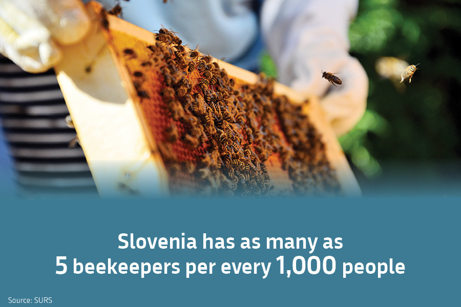 Slovenia has as many as 5 beekeepers per every 1,000 people. Source: SURS.
