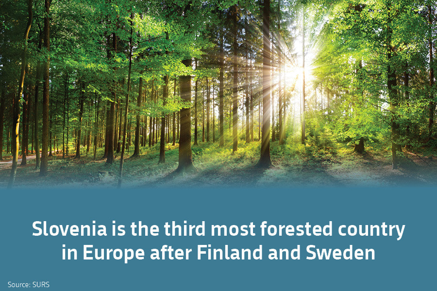  Slovenia is the third most forested country in Europe after Finland and Sweden. Source: SURS.