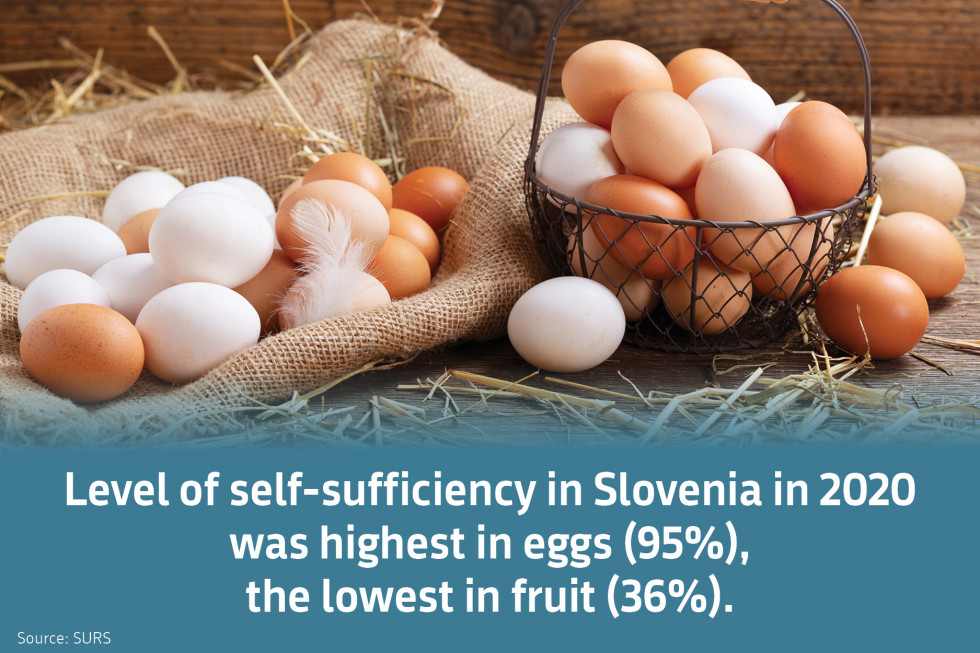 Level of self-sufficiency in Slovenia in 2020 was highest in eggs (95%),  the lowest in fruit (36%).
