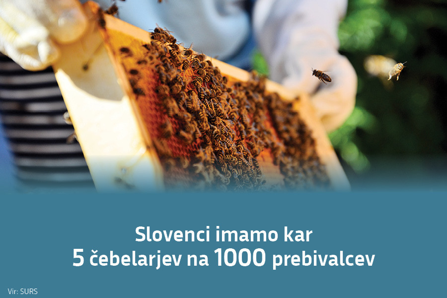 Slovenci imamo kar 5 čebelarjev na 1000 prebivalcev. Vir: SURS