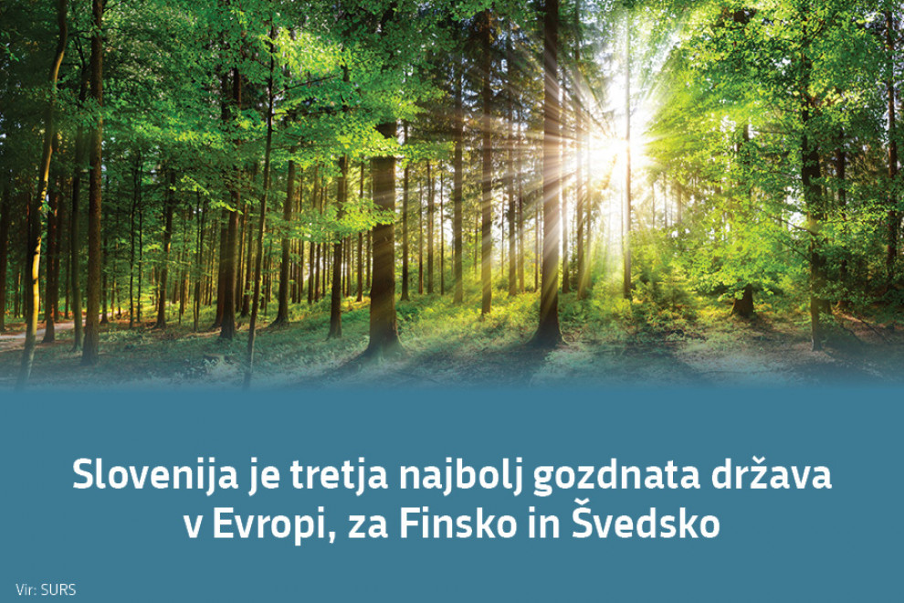 Slovenija je tretja najbolj gozdnata država v Evropi, za Finsko in Švedsko. Vir: SURS