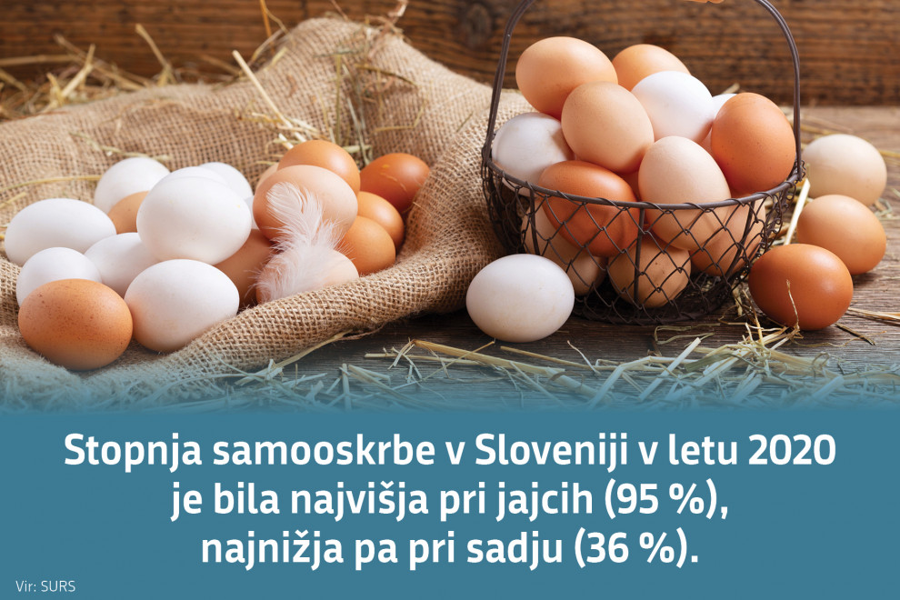 Košarica z jajci, statistični podatki o samooskrbi. Stopnja samooskrbe v Sloveniji v letu 2020 je bila najvišja pri jajcih (95%), najnižja pa pri sadju (36 %).