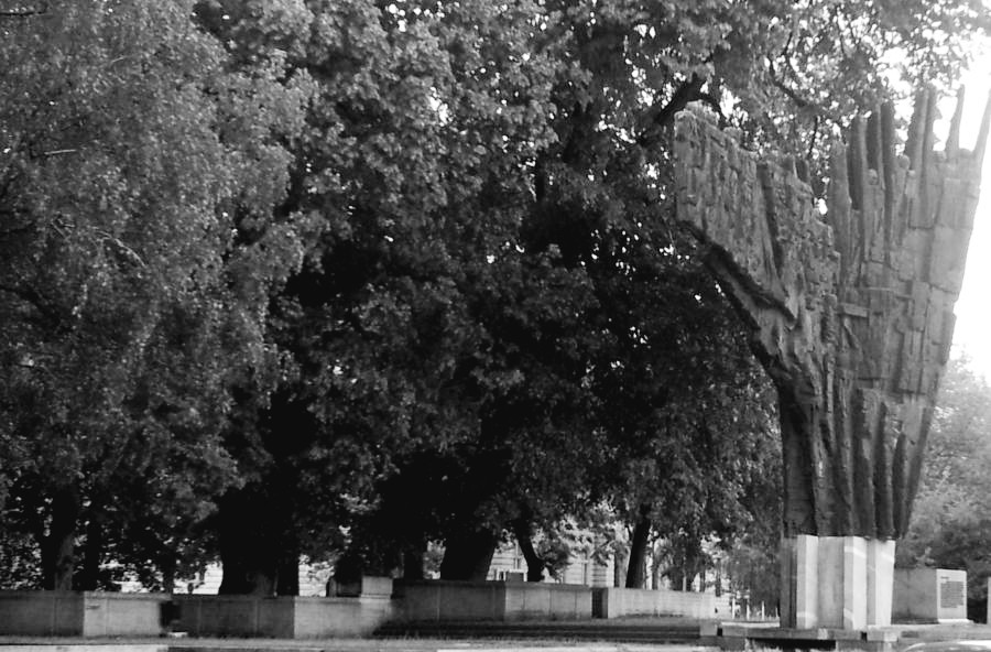 Drevje, na desni strani stoji spomenik.