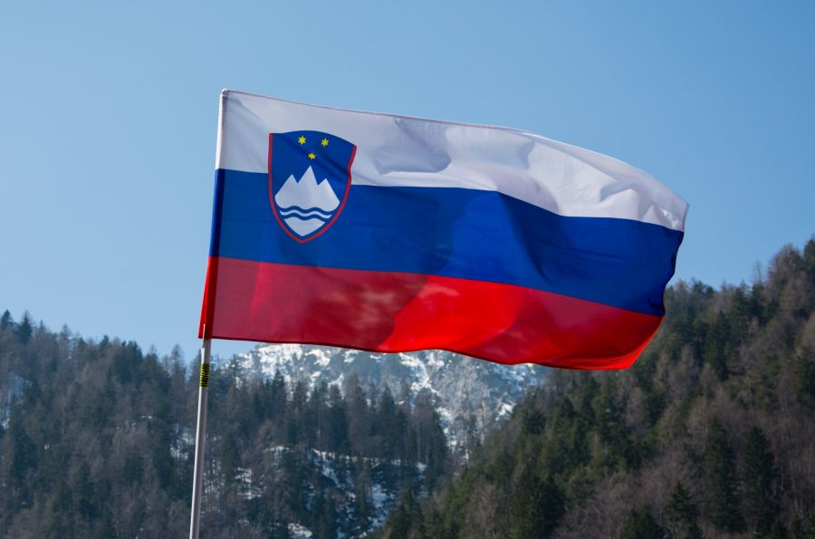 Slovenska zastava plapola v vetru, v ozadju pogled na gore in gozd.