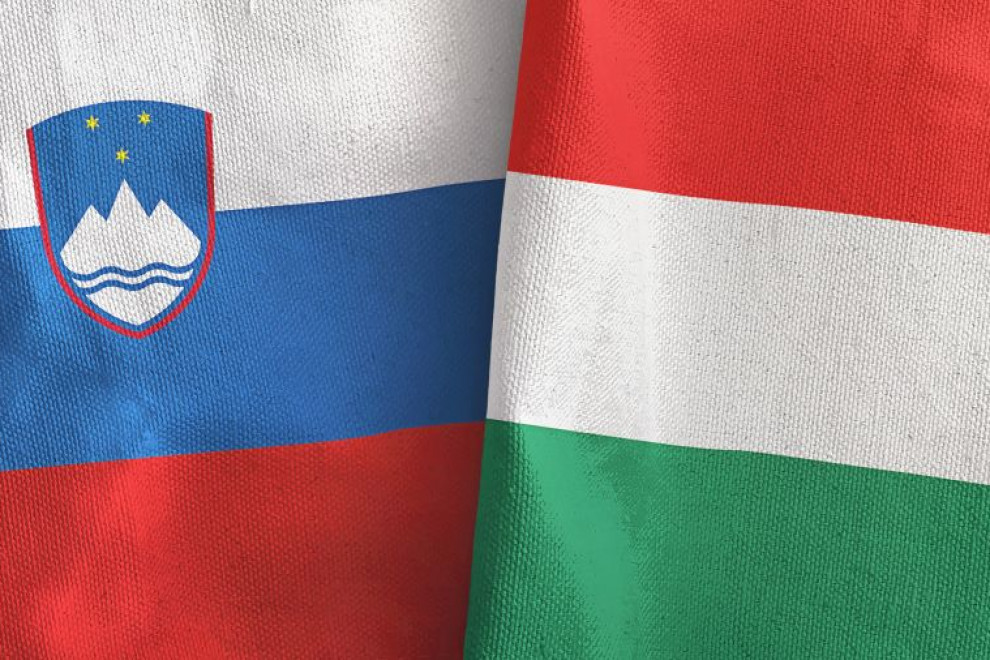 Slovenska in madžarska zastava