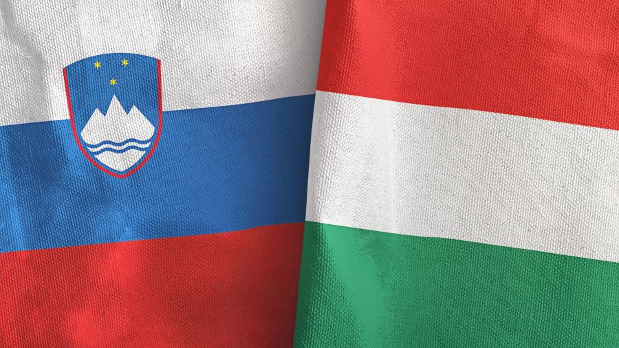 Slovenska in madžarska zastava