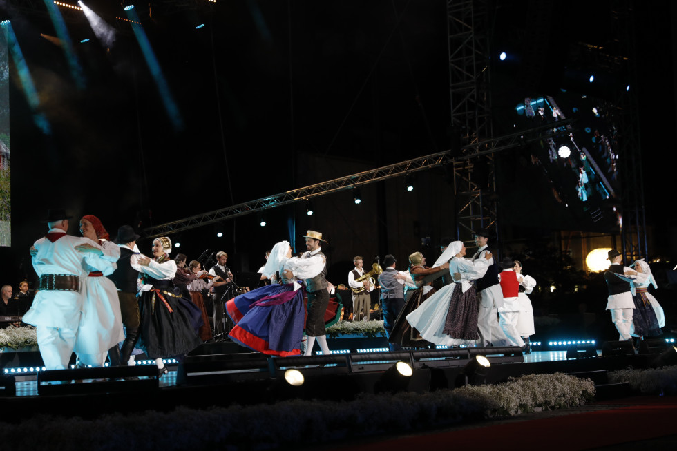 Folklorna skupina Tine Rožanc pleše na odru.