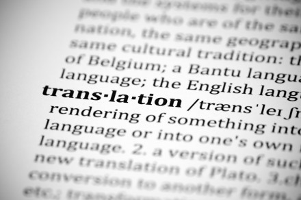 Sektor za prevajanje