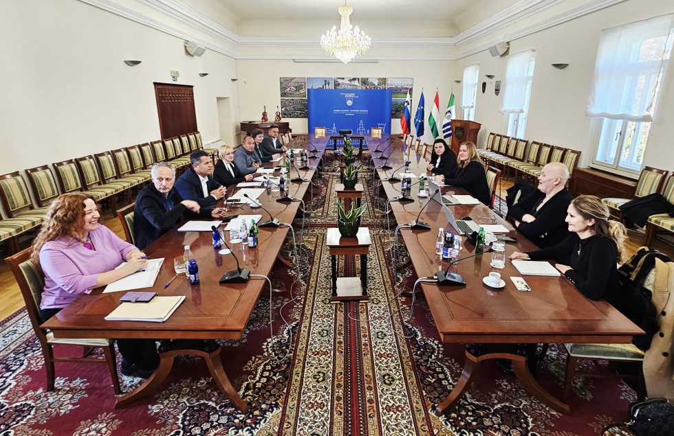 Udeleženci srečanja si sedijo nasproti za dvema podolgovatima mizama