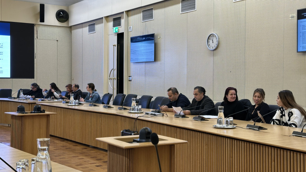 Udeleženci sedijo v sejni dvorani, zadaj na steni ekran s predstavitvijo 